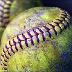 pmhs_softball's profile picture. ONE TEAM ONE GOAL