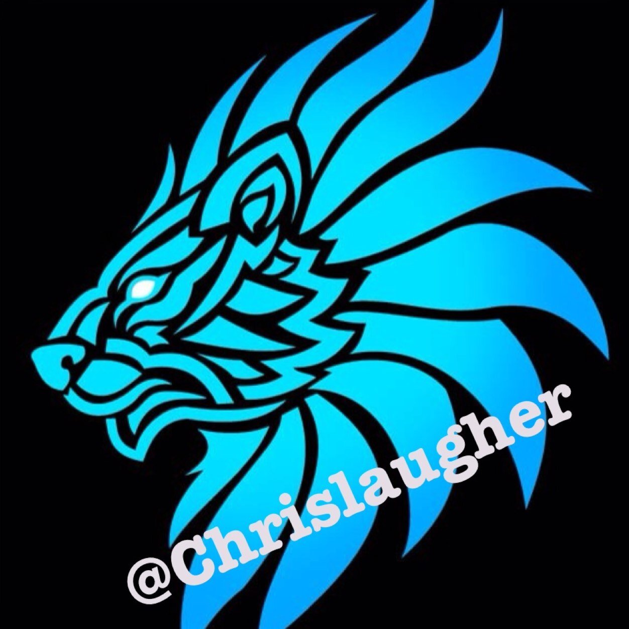 @Chrislaugher battle field player follow my instagram page @Chris_Laugher