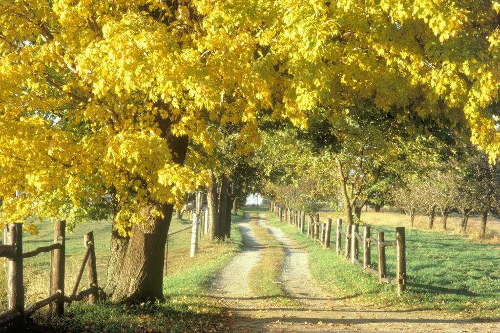 huynhngochung1's profile picture. hungpropro