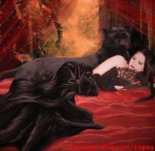 acatoy_yo's profile picture. Soy como soy es lo q hay