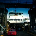 Marcia Marks - @8maxdogMarks - Twitter