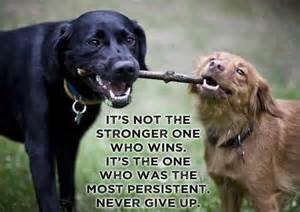 Determination and persistence is key!