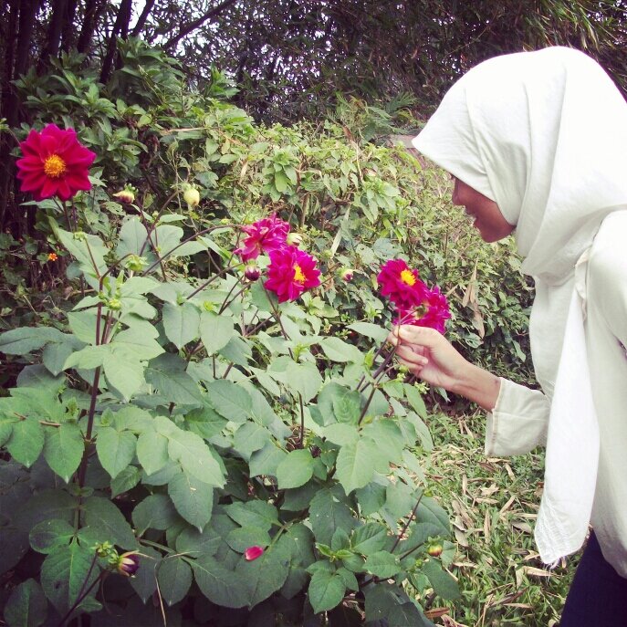 be a muslimah, smart, beauty and happy girl.