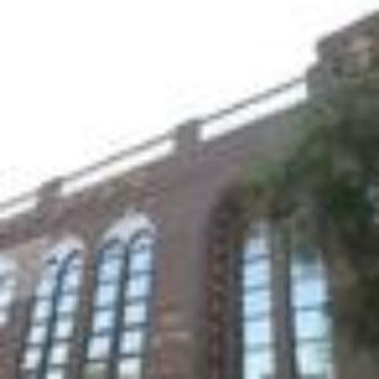 SatmarBPNews's profile picture. satmar boro park news