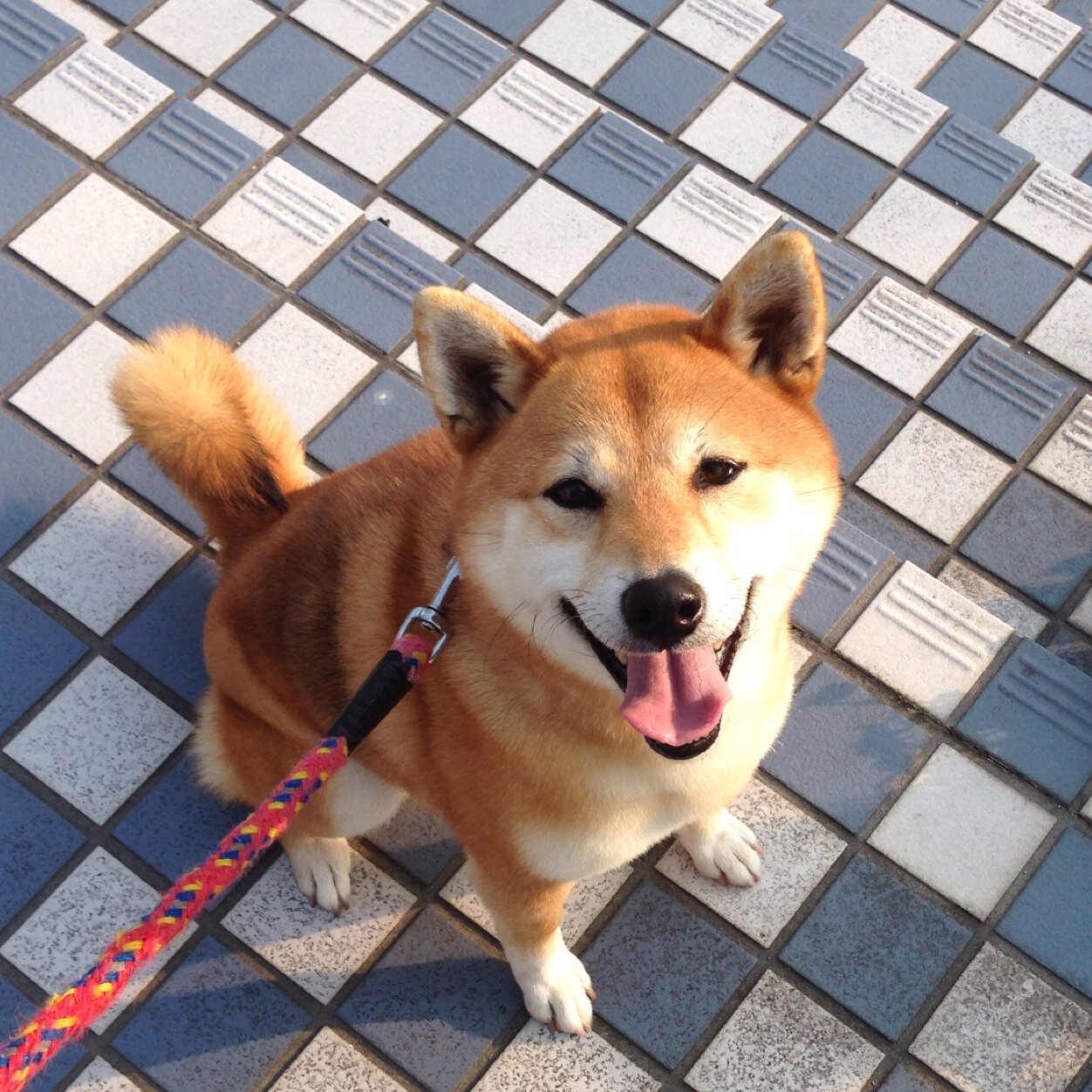 Yuchuva 私の歯並びは悪くないけど 加齢で噛み合わせが気になるようになったから歯列矯正したくなってて ついでにオット君もやらないかな と思ってたら関ジャニの安田君が矯正してるのをテレビで見たオット君が 俺もやろかな って言い出して 芸能人の