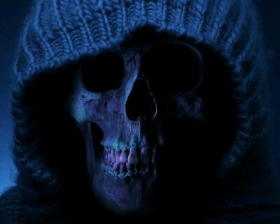 LEFakeOfficiel's profile picture. Welcome, THE real fake tweet in english and french. Bienvenue, LE vrai fake, tweete en anglais et en français.