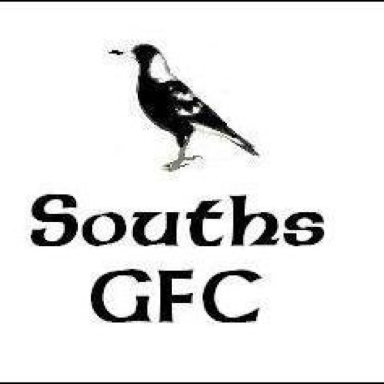 GAASouths's profile picture. Est 1983, the Souths Magpies have been a club of note in Queensland Gaelic football and continue to strive with two Men's and one Ladies team. Up the Souths!!!