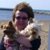 yorkie lover (@bettegaedart) Twitter profile photo yorkie lover (@bettegaedart) Twitter profile photo