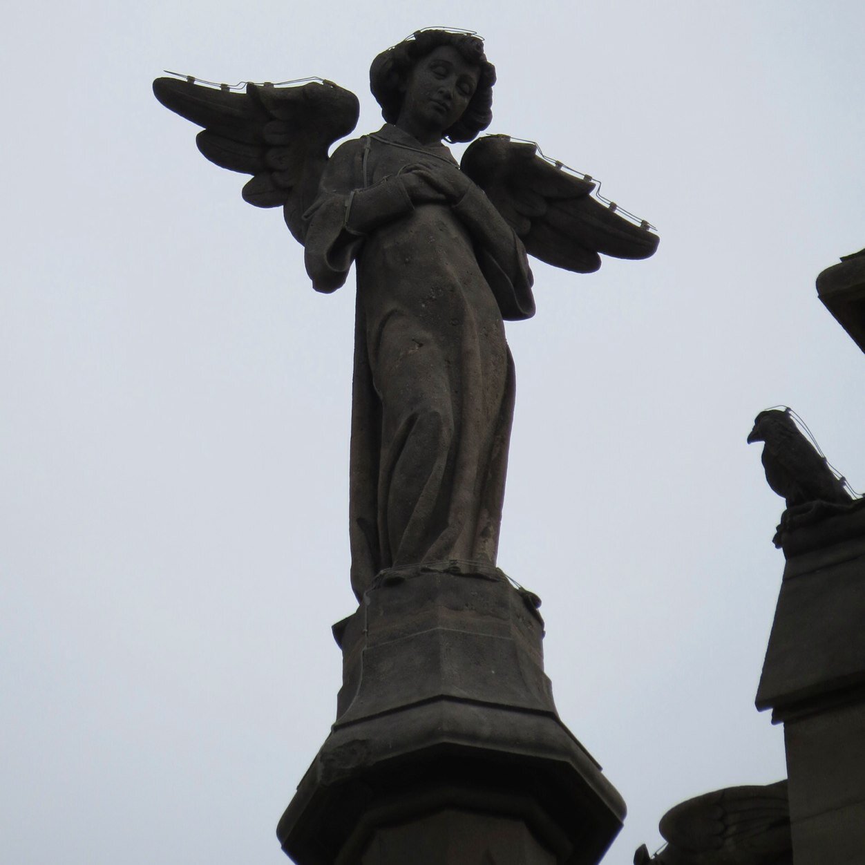 violhaynne's profile picture. 