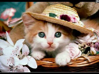 hartiandwi's profile picture. 