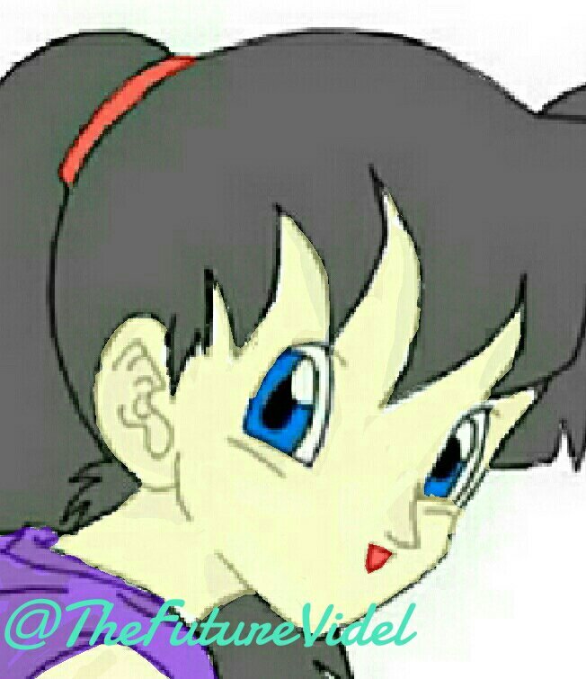 I fight on the sidelines... i have become much more powerful than the videl you all know. I will fight for justice at any cost until I die!
