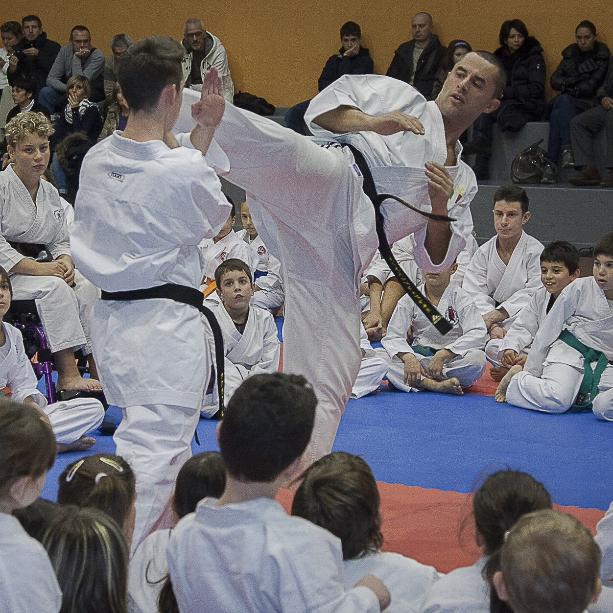 pluri campione del Mondo e d'europa di karate preparatore fisico nazionale karate e scherma