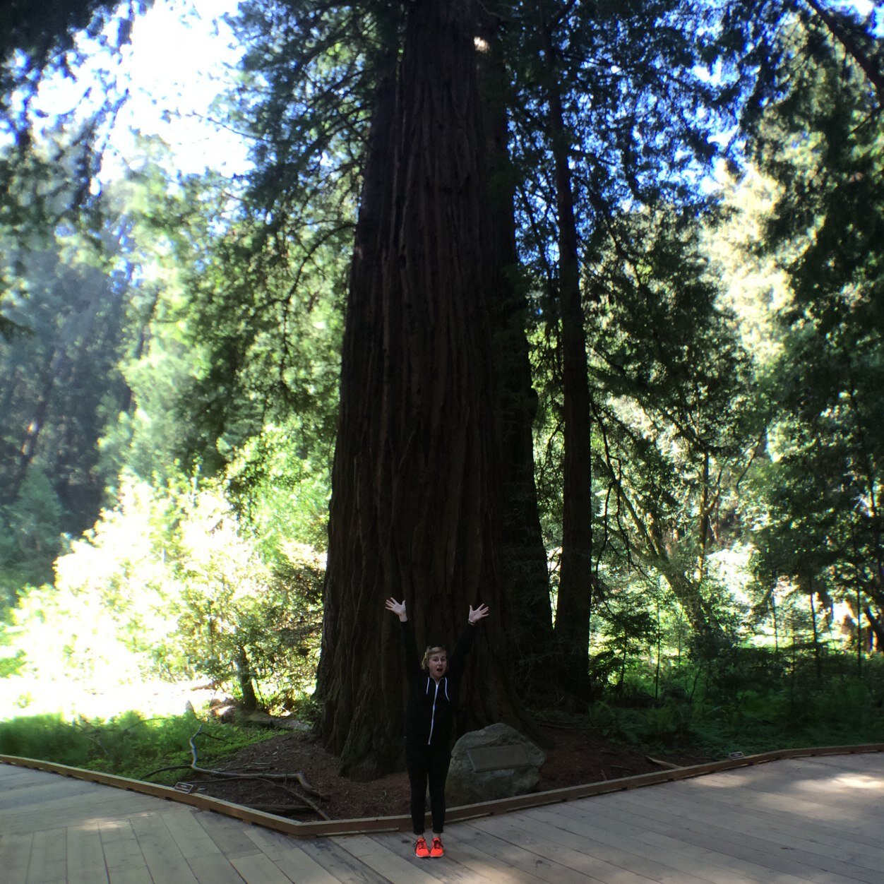 taylorbothwell's profile picture. 