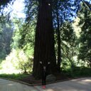 Taylor Bothwell - @taylorbothwell - Twitter