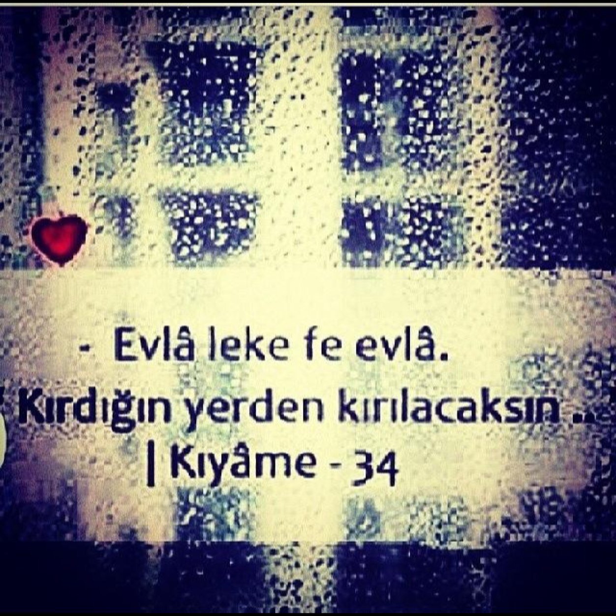 gultatar88's profile picture. KENDİ KENDİ'NİN PATRONU HASTA GALATASARAY'lı