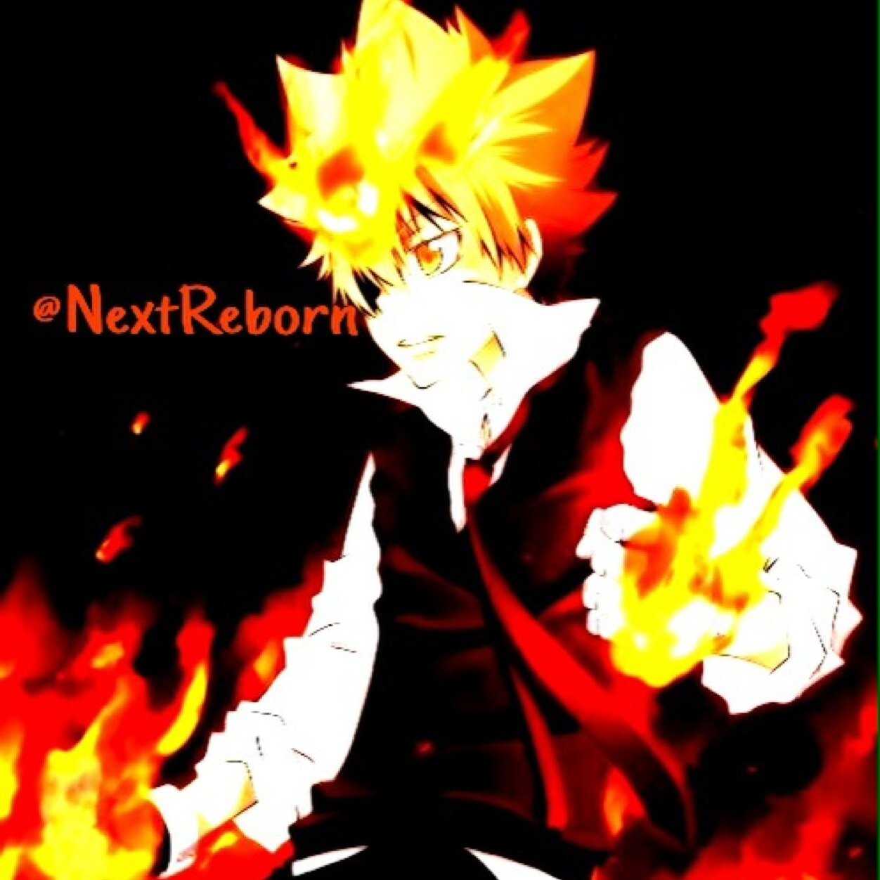 My name Is Tsunayoshi Sawada but you can just call me Tsuna. I am the tenth vongola boss and I will show you my resolve.