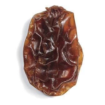 raisinfacts_'s profile picture. Nature's Dead Grape