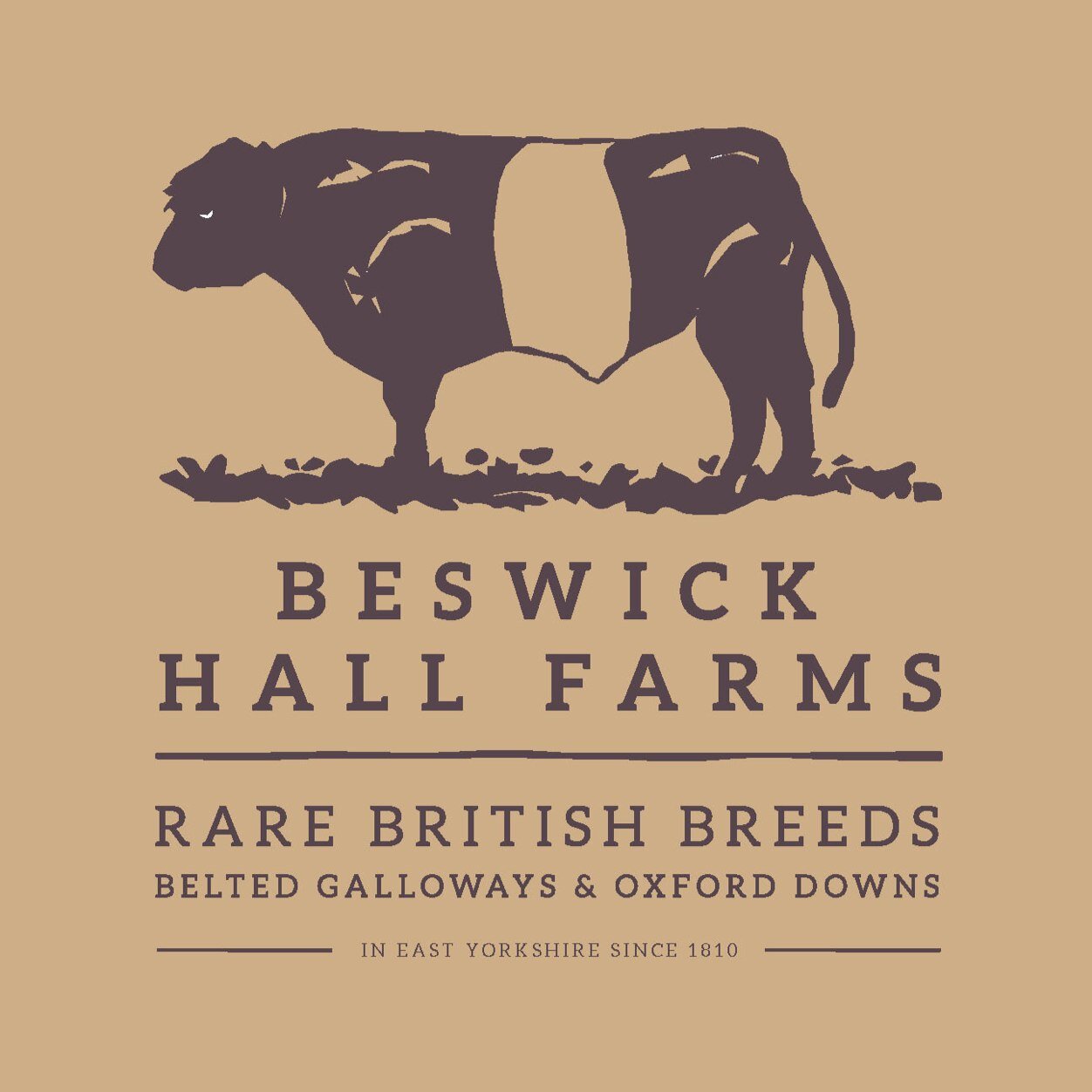 Busy mixed East Yorks farm. Pedigree Belted Galloways & Oxford Downs. Pure Grass-Fed Beef & Lamb. Small farm shop. Red Tractor Assr. Ed & Nic Duggleby