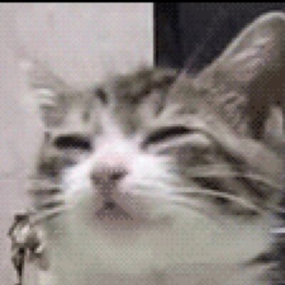 わにお