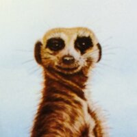 Jose MendoZa (@hoouseei) 's Twitter Profile