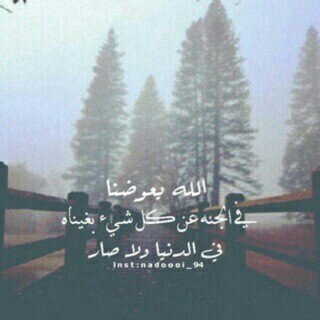 لأني احُبك انشأة لك هذا الحساب، انشأته لِ خوفي عليك من عثرات الحياه، وليكون شفيع لك يوم القيامه.  دعوه لـ ‎‎‎‎‎‎@neaz123neaz ‎‎