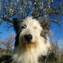 Ana Navas - @anitas130 - Twitter