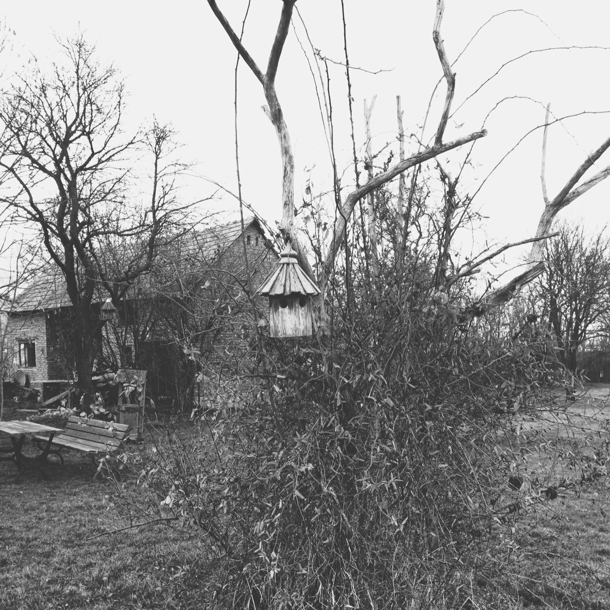 husartudor's profile picture. 