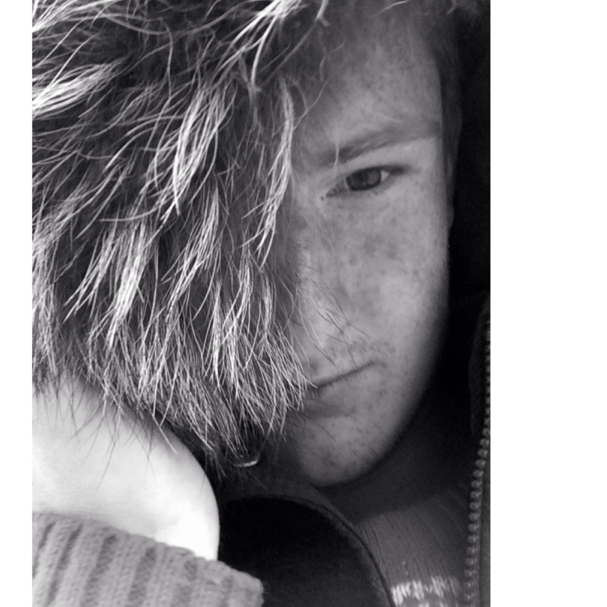 pimluyten Profile Picture