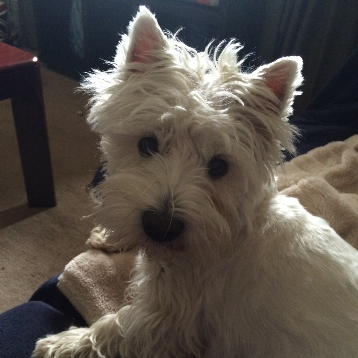 FionaCl34366253's profile picture. 