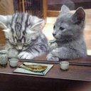 のん (@0226Non) Twitter