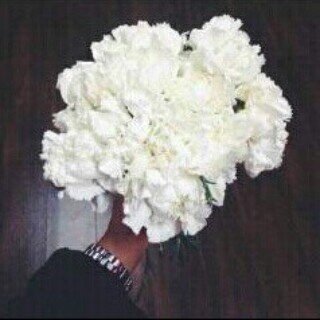 ميس الجميله ♚'