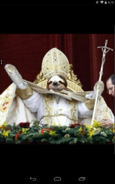 SLOTH FOR POPE!!!?!?!!!?!????!