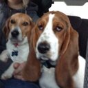 Pat Rao - @franknstella - Twitter