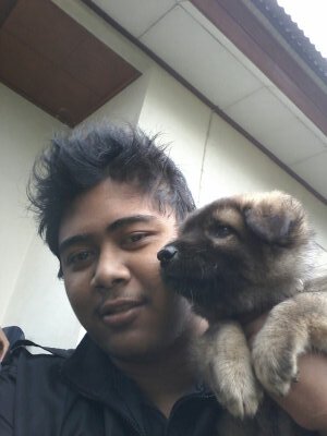 Agus_Pardika__'s profile picture. 