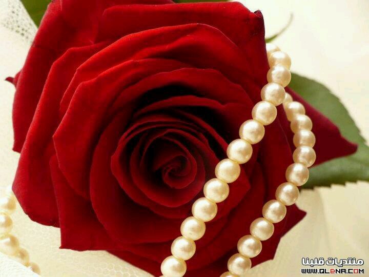 ‏‏كنك موزع صورتك في طريقي                          

كل مادققت بالحاجه (لقيتك)
