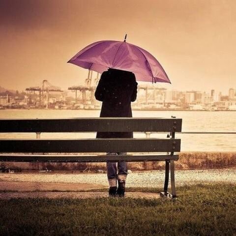 دوله الامارات العربيه المتحده