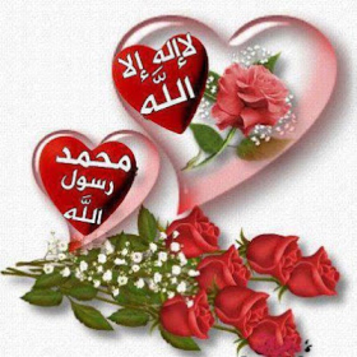 تم تهكير هذا الحساب وجعله حساب خاص بالذكر والدعاء