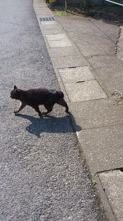 hpms_45's profile picture. 