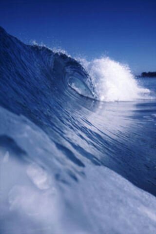 AlgorithmA's profile picture. 