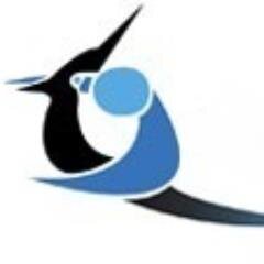 KievitenFijnaar's profile picture. Jeugd- en Sportvereniging