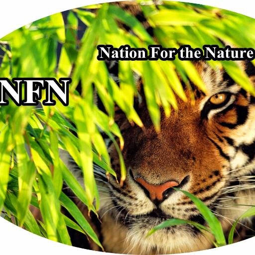 If you're reading this brief text, it means that you go to the NFN website! We hope you can learn more by animal rights organization our side!