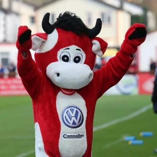 I'm Benny the Bull, proud mascot of @sligorovers. Love meeting Super Red supporters. #bitored