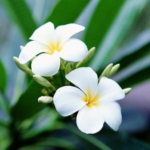 kronlee2013's profile picture. 