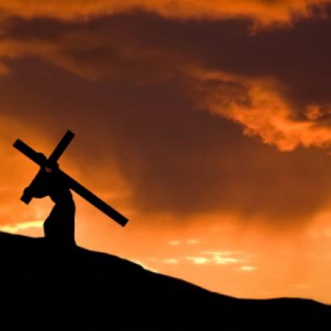 Just a guy who is trying to find the Truth through unity. Catholic, husband, father.
