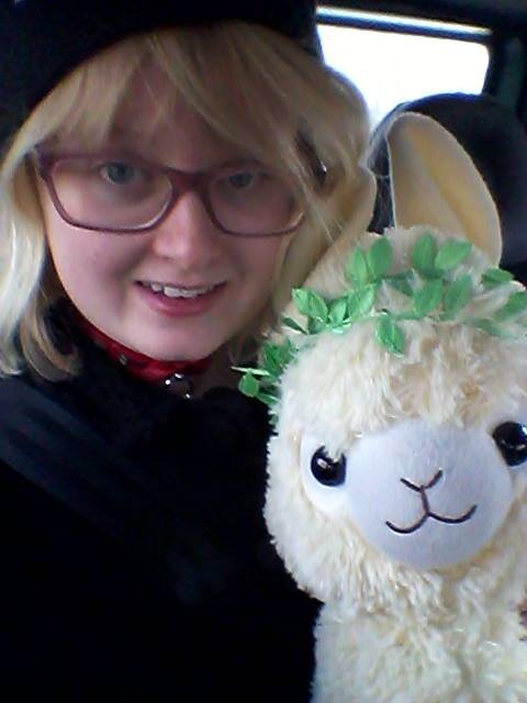 Sunfloweralpaca's profile picture. 