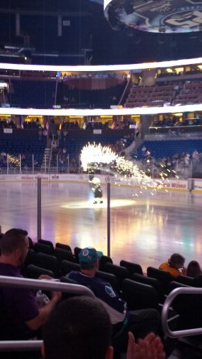Love our Solar Bears! 💜💙🏒🐻