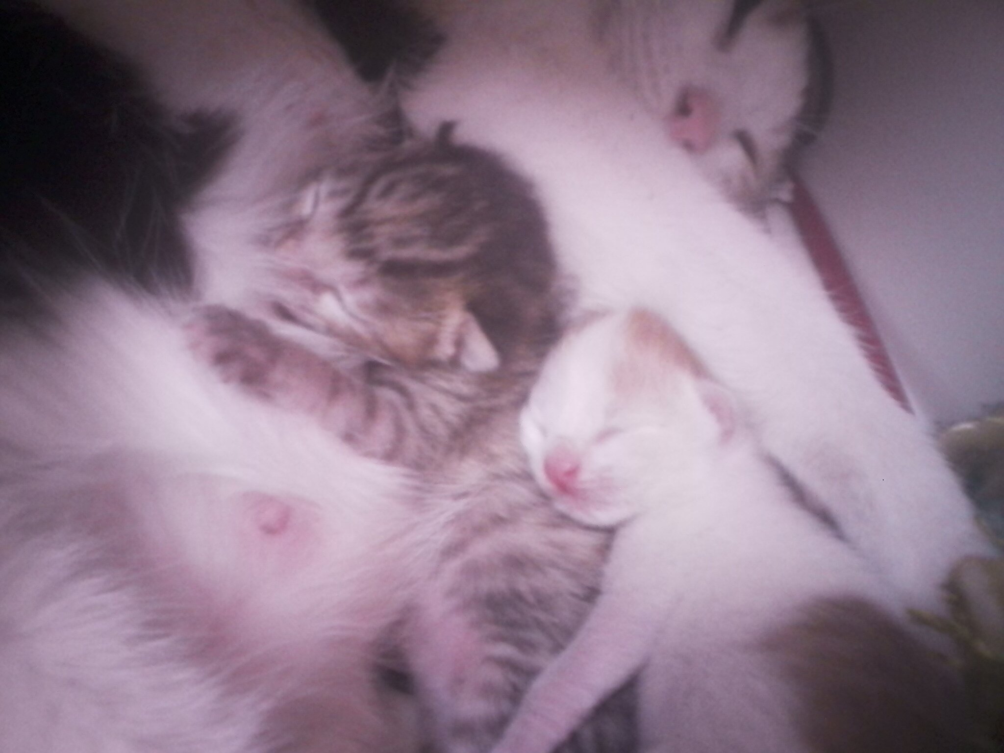 maryamrezajoo's profile picture. 