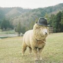 Jack Pickles - @JackPickles3849 - Twitter