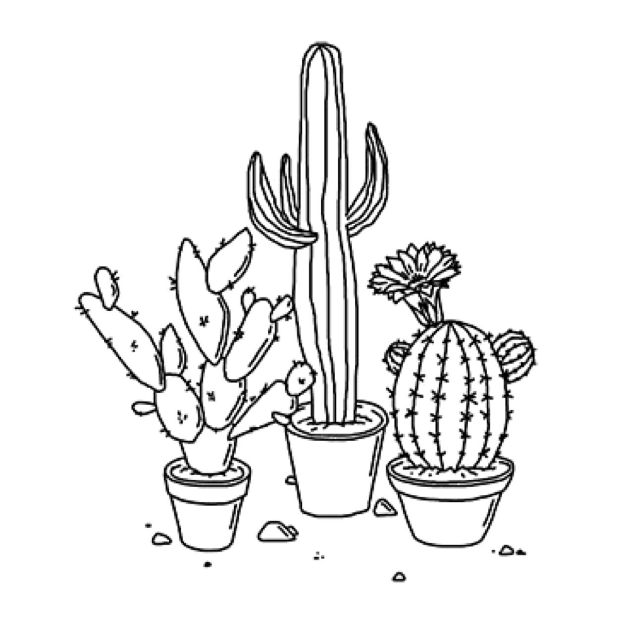 BunnieBunnies's profile picture. (ू•ᴗ•ू❁)