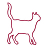 kittyinNewYork's profile picture. Best cat care service in New York City. We will help you find the best care options for your cat while you are away. In-home boarding and cat sitting solutions